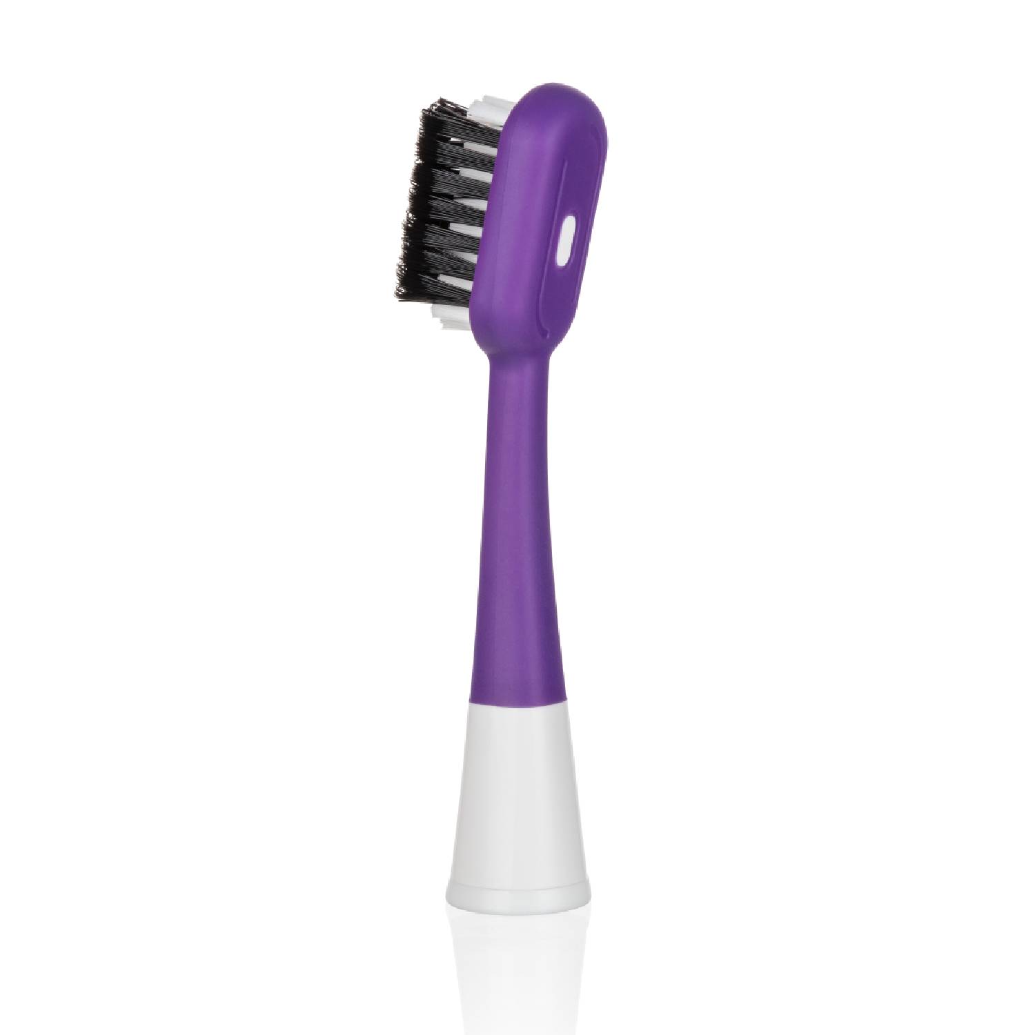 EW-SG-2C-purple-back-mirror.jpg