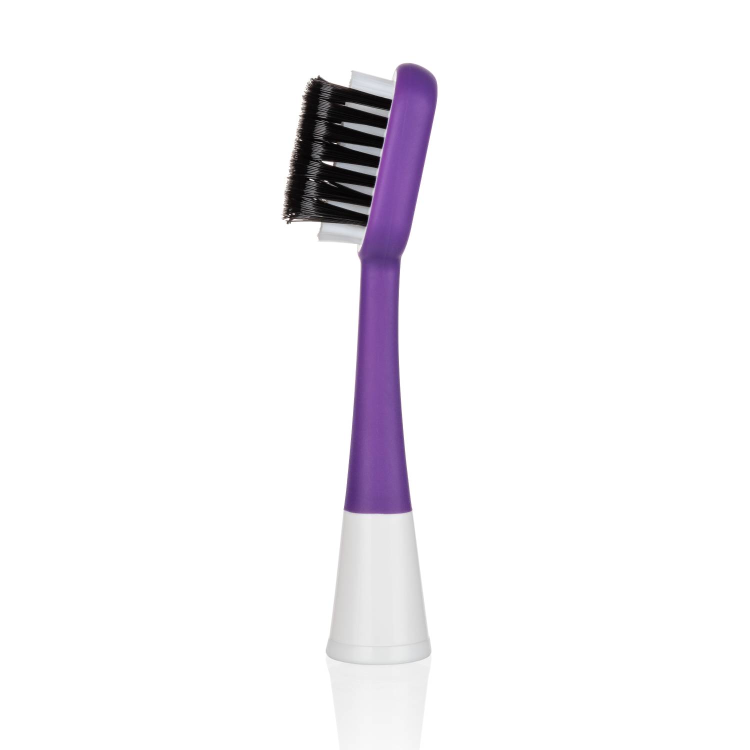 EW-SG-2C-purple-left-mirror.jpg