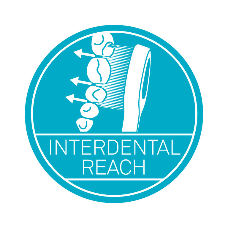 Interdental-reach.jpg
